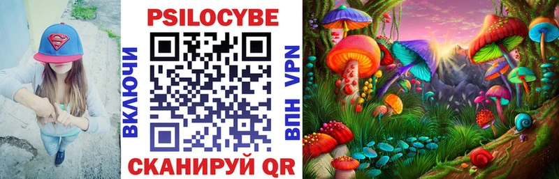 мега онион  Магнитогорск  Галлюциногенные грибы Cubensis  купить  